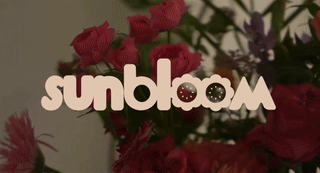 sunbloom